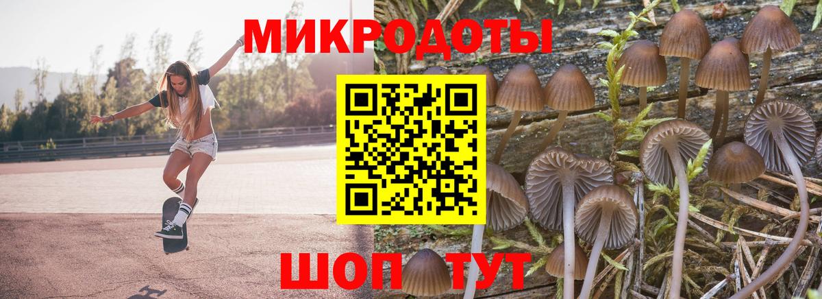 Галлюциногенные грибы ЛСД  Вход с VPN  что такое   Магадан 