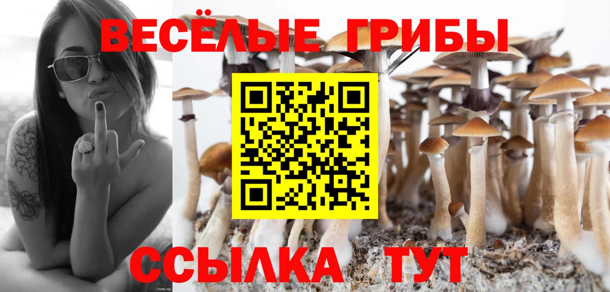 Псилоцибиновые грибы мицелий Магадан